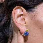Divina Spider Earrings - Agau Gioielli
